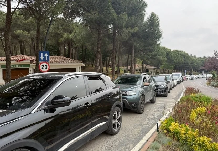 Beykoz Spor Ormanı’nda ne oldu? 1 orman2605 PqqFcGPZYF