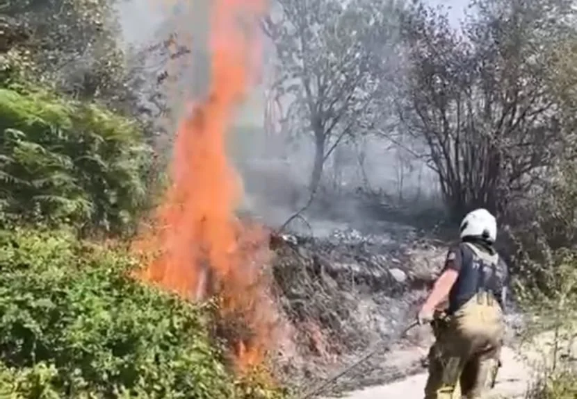 Beykoz Karlıtepe'de orman yangını 1
