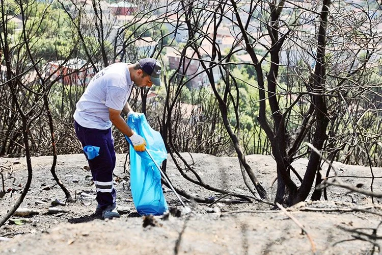 Beykoz’da yangın bölgesi alkol şişelerinden temizlendi 1 yangin