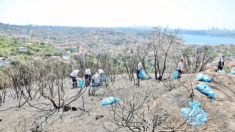 Beykoz’da yangın bölgesi alkol şişelerinden temizlendi 2 yangin 4 D4TPX5pKF3